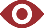 Vision Icon